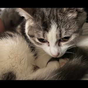 Meet your Posher, Christine